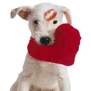 Valentines-Day-dog with lips on head and holding heart pillow